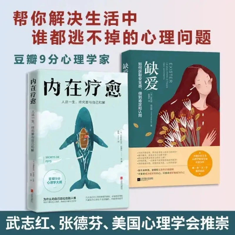 内在疗愈+缺爱重新定义安全感 存在价值观100万读者认证