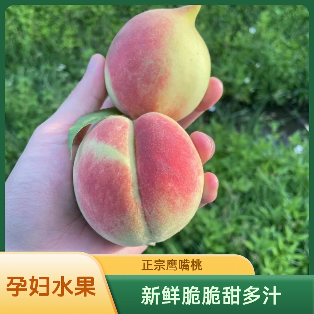 广东顺丰包邮河源连平正宗鹰嘴桃新鲜脆脆甜多汁毛桃当季现摘水果