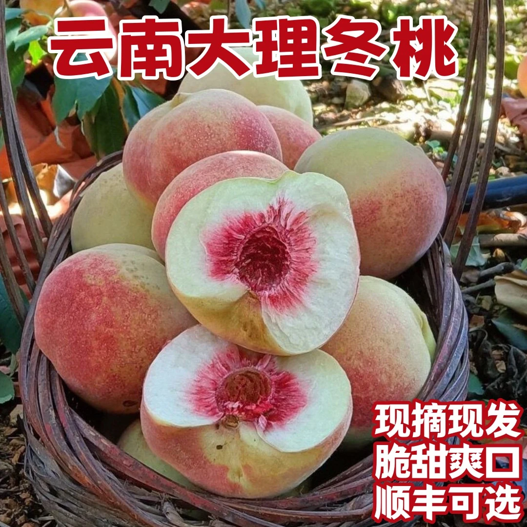 现摘现发云南大理冬桃新鲜甜脆毛桃应季孕妇新鲜水果高山桃子整箱
