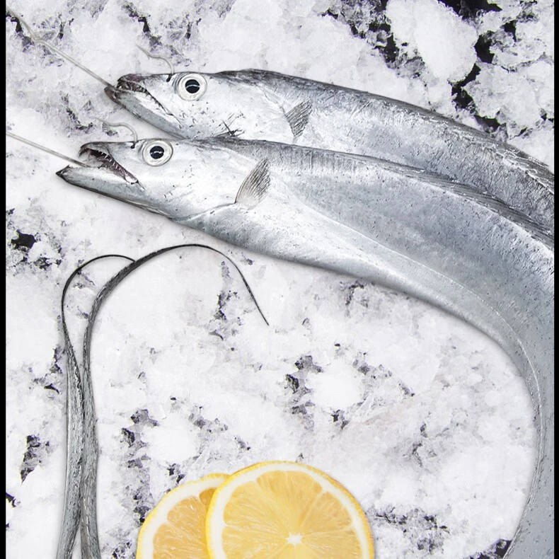 专属【只发新疆包邮】冷冻AA海钓3-4指宽带鱼带鱼肉质新鲜