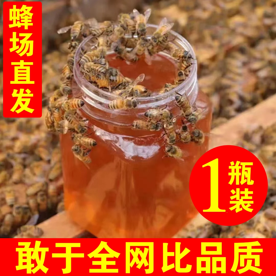 蜂蜜纯天然正宗土蜂蜜野生百花蜜无添加农家自产自销100%官方正品