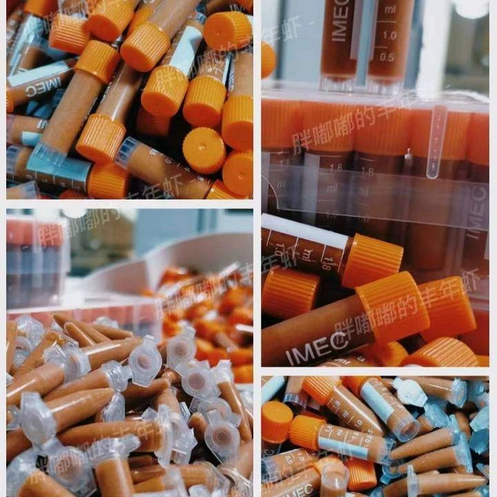 丰年虾卵 新鲜发货 干冰发货
