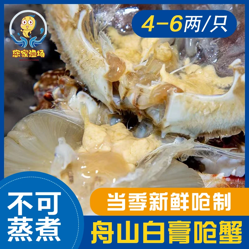 【5两左右】白膏呛蟹宁波咸呛蟹新鲜腌制舟山海鲜梭子蟹开胃下饭