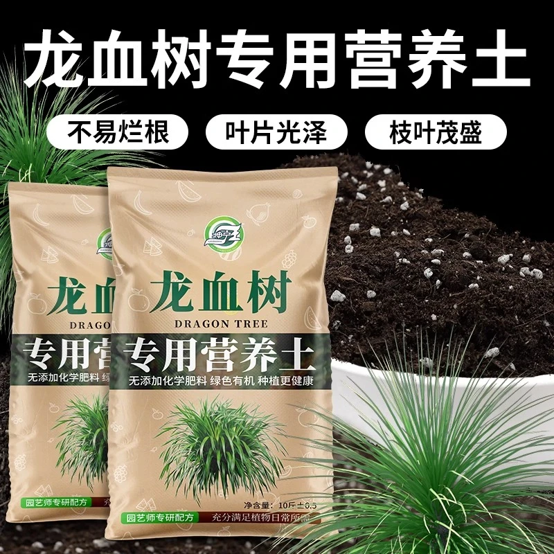 龙血树专用土通用用品绿植有机土壤龙血树专用肥料土质疏松含菌少