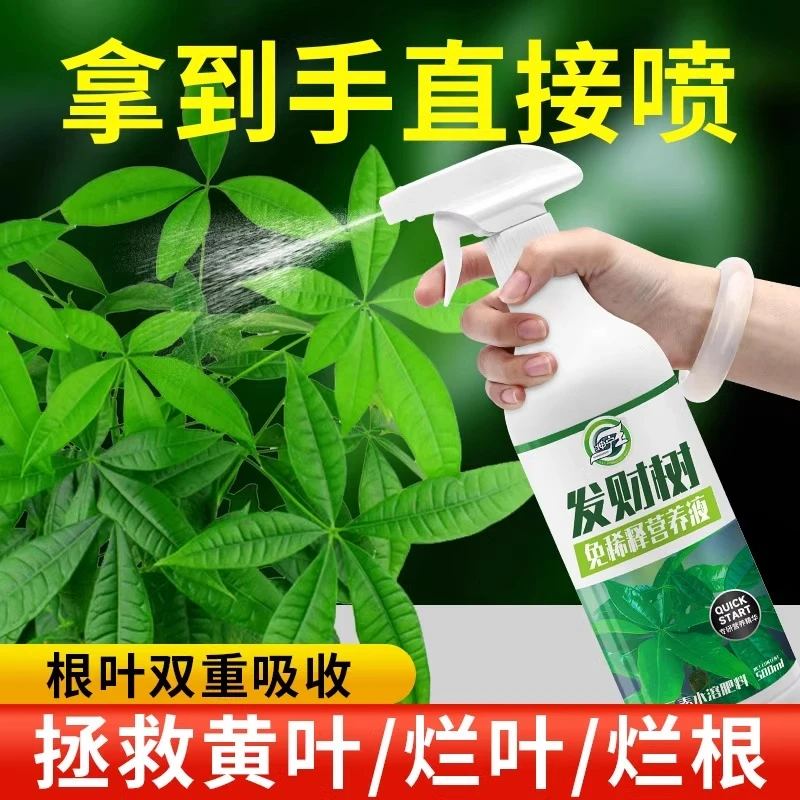 免稀释发财树专用营养液花肥料室内盆栽植物金钱树营养土绿植喷