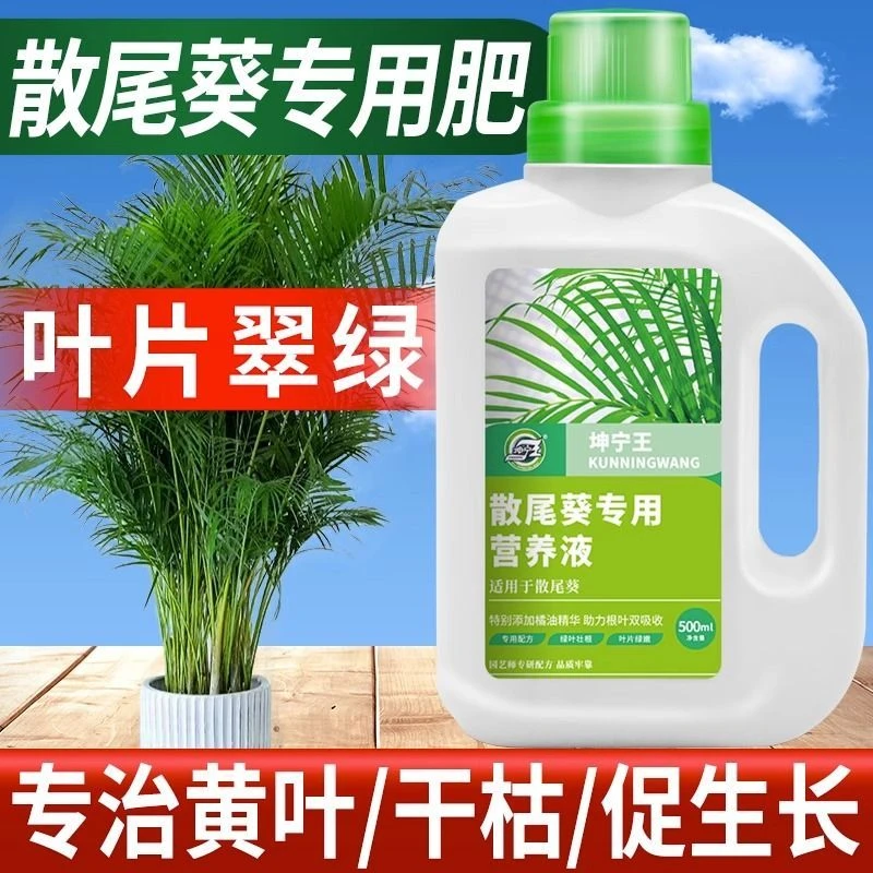 散尾葵肥料专用营养液室内水培植物肥料家用盆栽通用办公室绿植