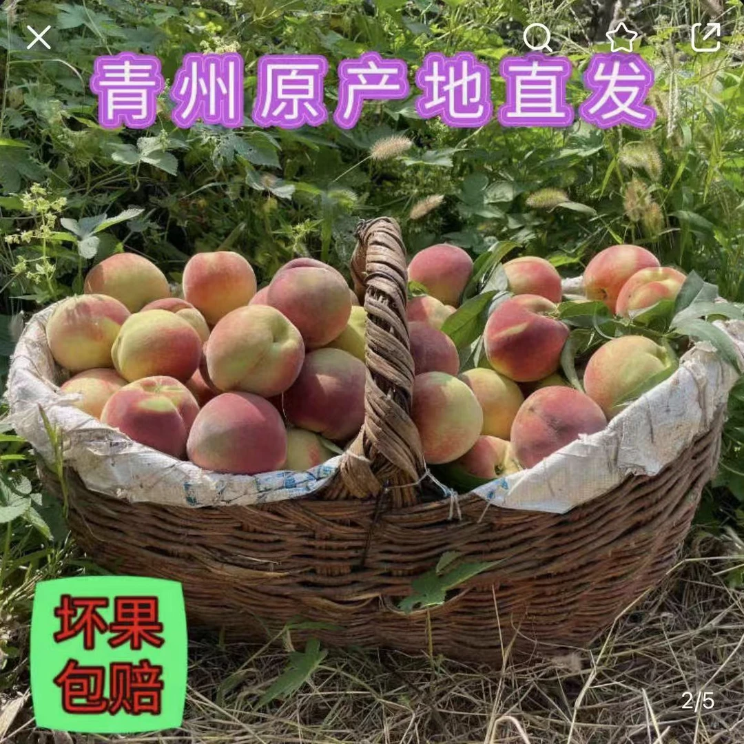 【顺丰京东包邮】正宗青州蜜桃冬雪蜜桃小山桃小毛桃脆甜3-5斤