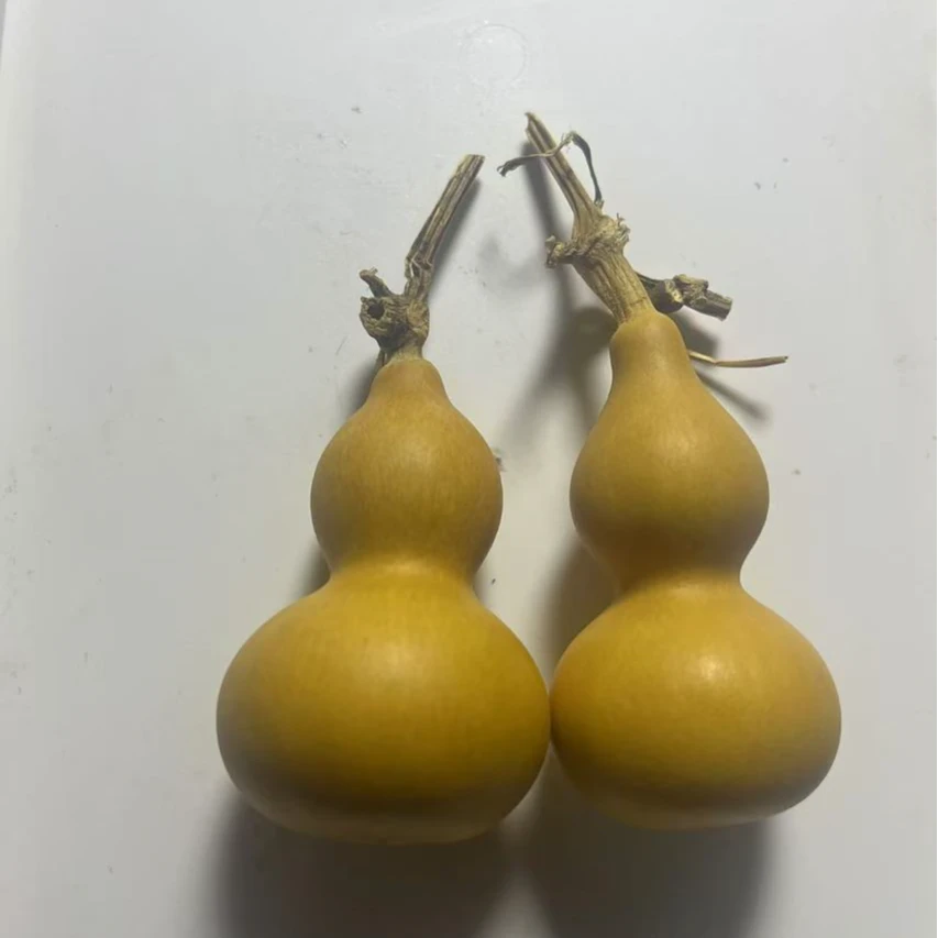 天然小葫芦手捻葫芦手把件摆件（图片仅供参考，以直播间实物为准）