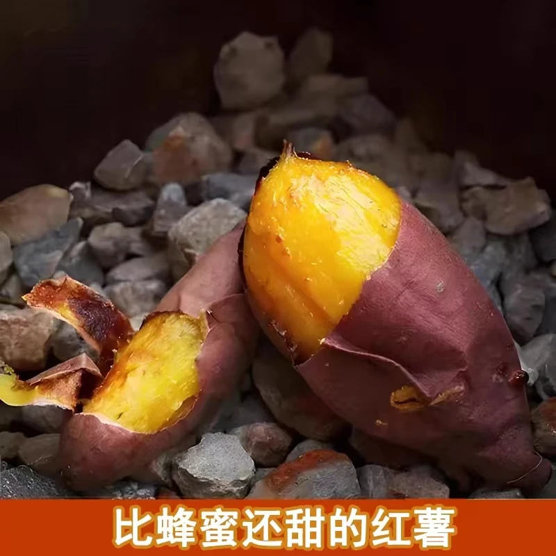 红瑶红薯香甜软糯(通果)+-25g(5斤)