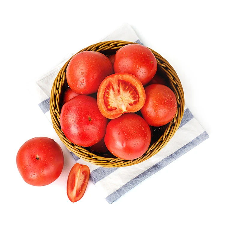 散称 西红柿500g/份