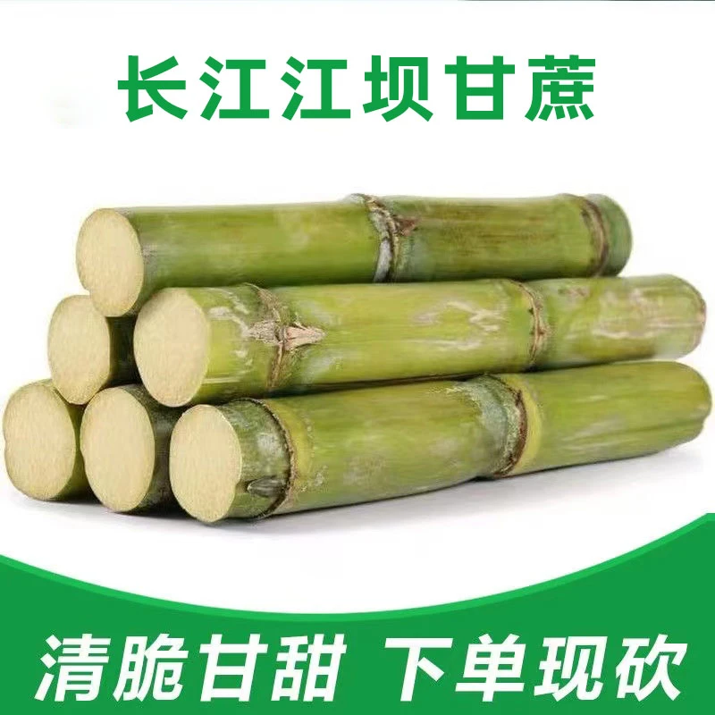 新鲜重庆青皮甘蔗现砍农家种植皮薄清甜多汁手撕甘蔗孕妇儿童可食