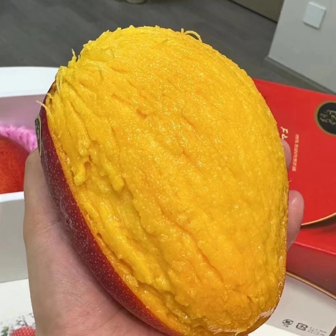 太阳之子芒果2-3个宫崎芒1个装顺丰空运包邮