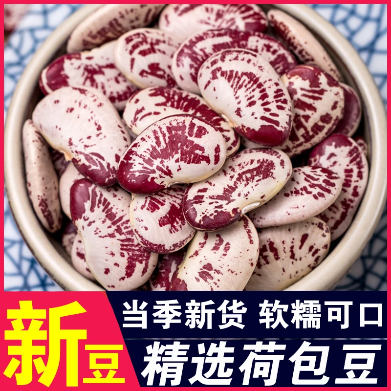 【新品】荷包豆花芸豆状元豆花纹豆五谷杂粮花云豆煮粥煲汤打豆浆
