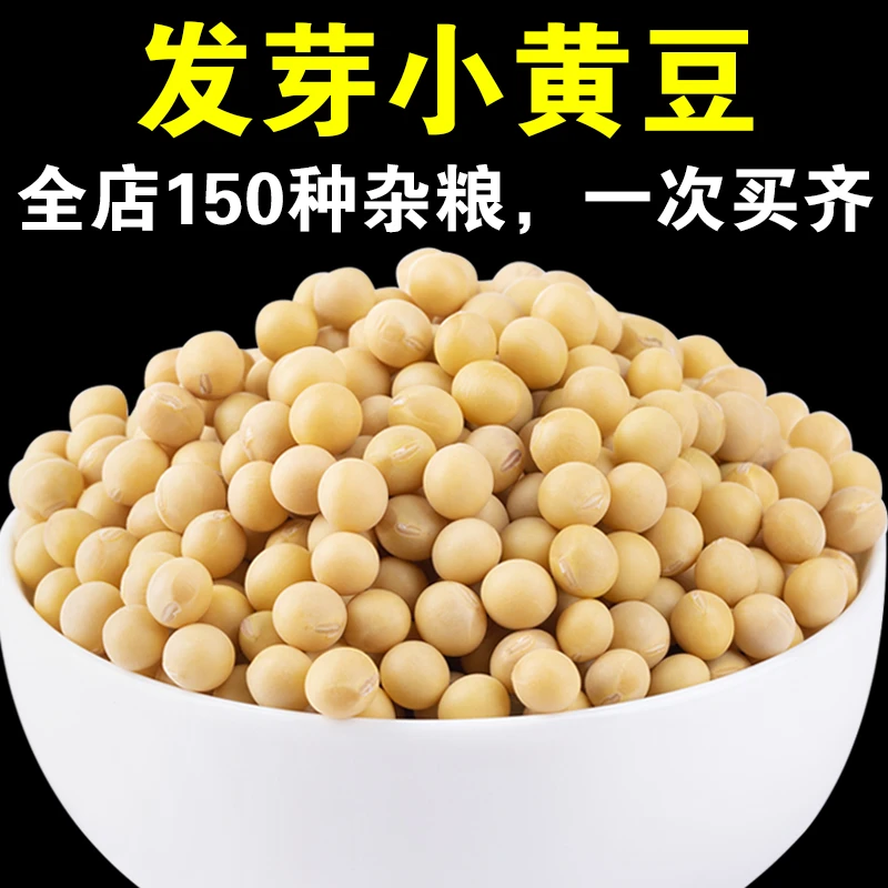 【店主严选】小黄豆1斤/3斤/5斤发芽黄豆发芽率高生豆芽专用黄豆