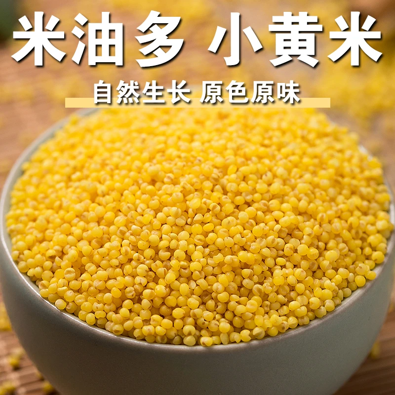 【店主严选】黄小米新米干净饱满米油多小黄米粗粮杂粮粥油小米