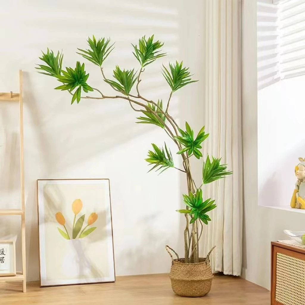 百合竹好养懒人绿植网红室内客厅办公室高端大气上档次