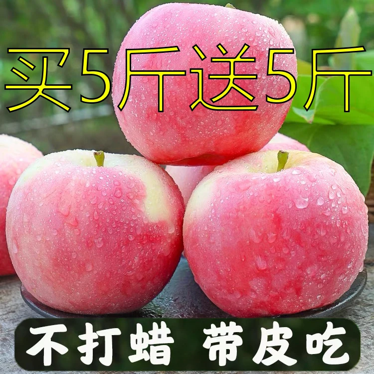 【新鲜红富士】山西高山甜脆红富士苹果新鲜丑苹果冰糖心3/5/9斤