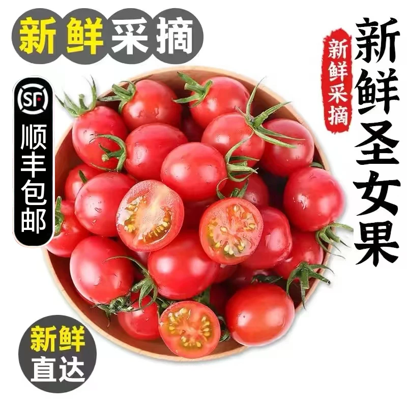 【顺丰包邮】新鲜现摘包赔千禧小番茄采摘孕妇生鲜水果酸甜西红柿