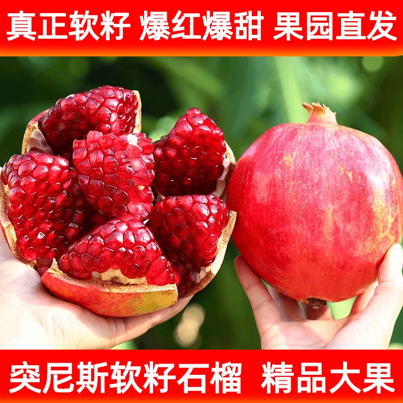【顺丰包邮】四川会理突尼斯软籽石榴孕妇水果爆甜高山老树净重5斤