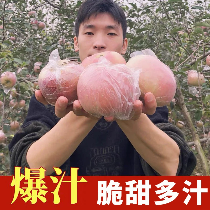 万荣红富士重量新苹果脆甜多汁当季新鲜果香浓郁1/5/10斤整箱水果