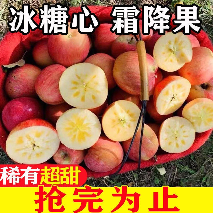 【霜降果】正宗苹果山西运城冰糖心红富士 新鲜水果1-9斤苹果好吃脆