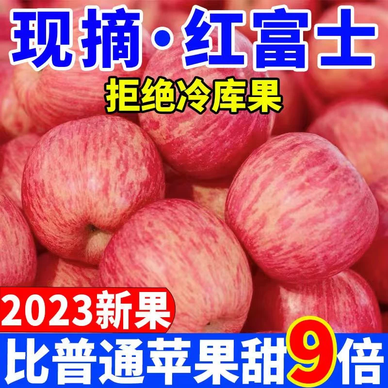 正宗冰糖心红富士丑苹果脆甜多汁新鲜水果现摘现发1/5/10斤农家果
