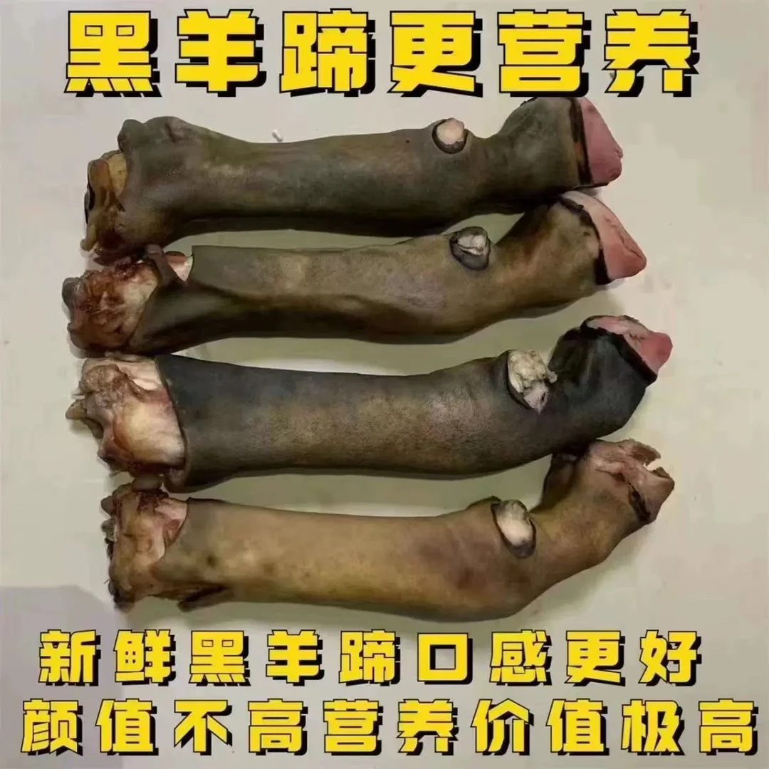 黑羊蹄去毛带主筋