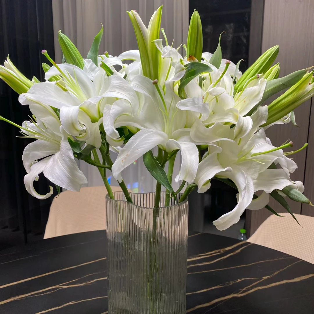 东北沈阳鲜花速递白百合 东北花卉 凌源百合