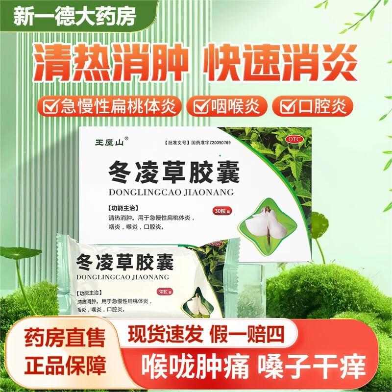 王屋山冬凌草胶囊0.3g*30粒口服清热消肿急慢性扁桃体炎咽炎喉炎口腔炎
