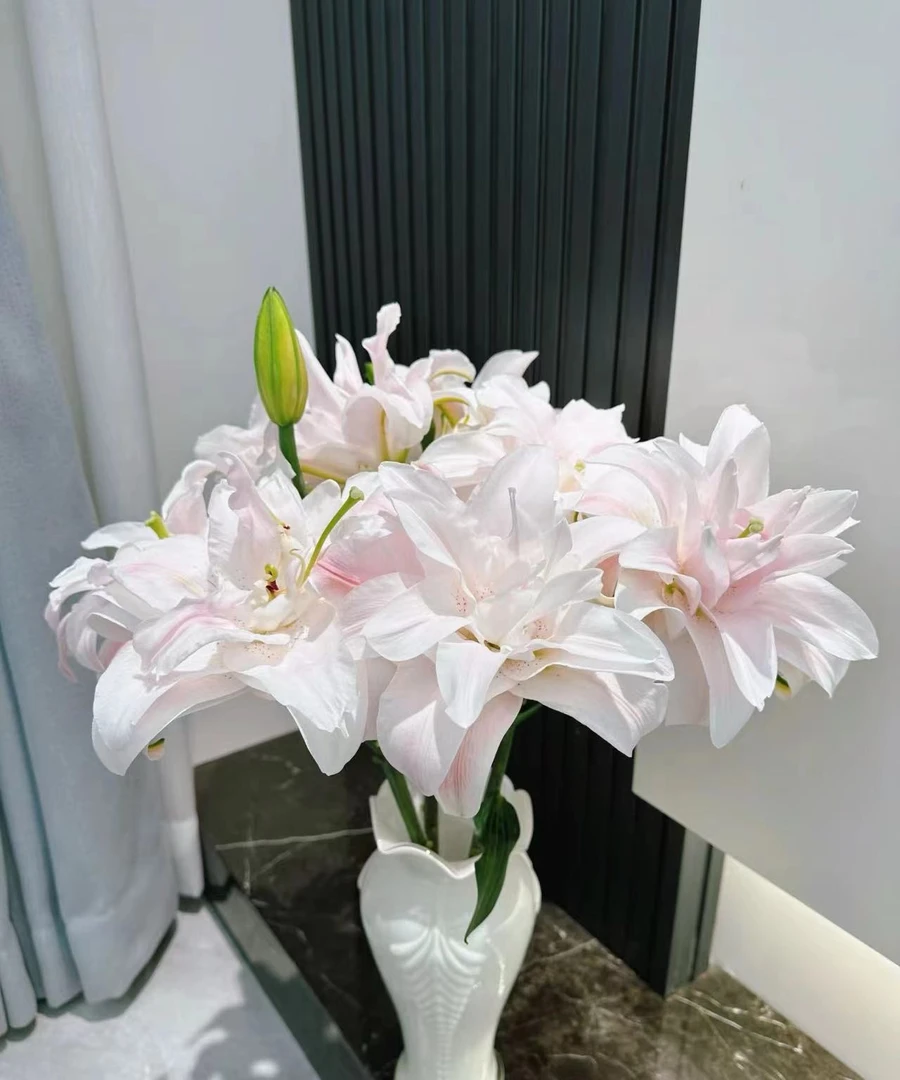 【源头优选】莲花皇后重瓣百合 任意2单以上包邮 云南鲜花