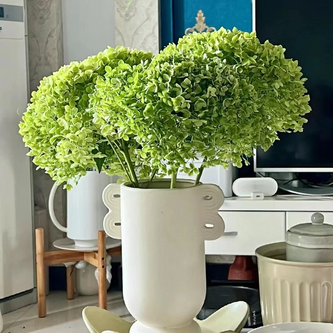 【源头优选】安娜绿绣球 任意2单以上包邮 发货后不支持退款