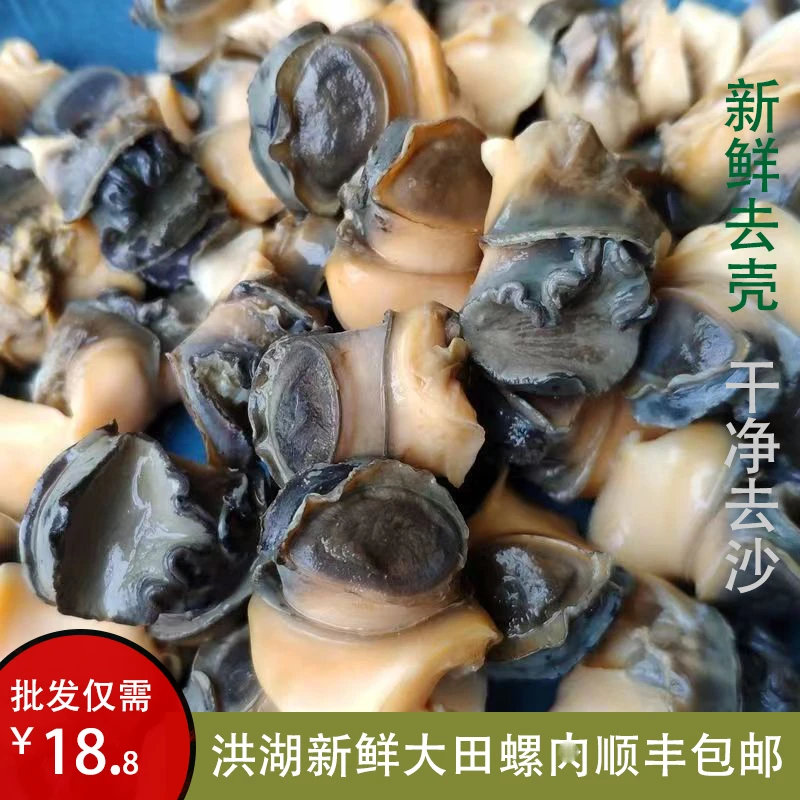湖北特产田螺肉洪湖农家现挑新鲜螺蛳肉野生大田螺肉清水螺肉1斤