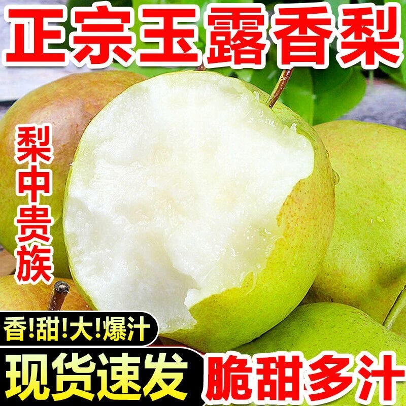 【2024新梨】正宗山西玉露香梨皮薄脆甜多汁5斤产地直发整箱包邮