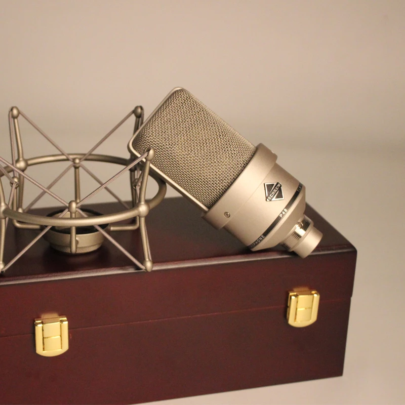 SEBREW希伯莱TLM103晶体管电容麦克风电脑直播唱歌话筒有声书录制