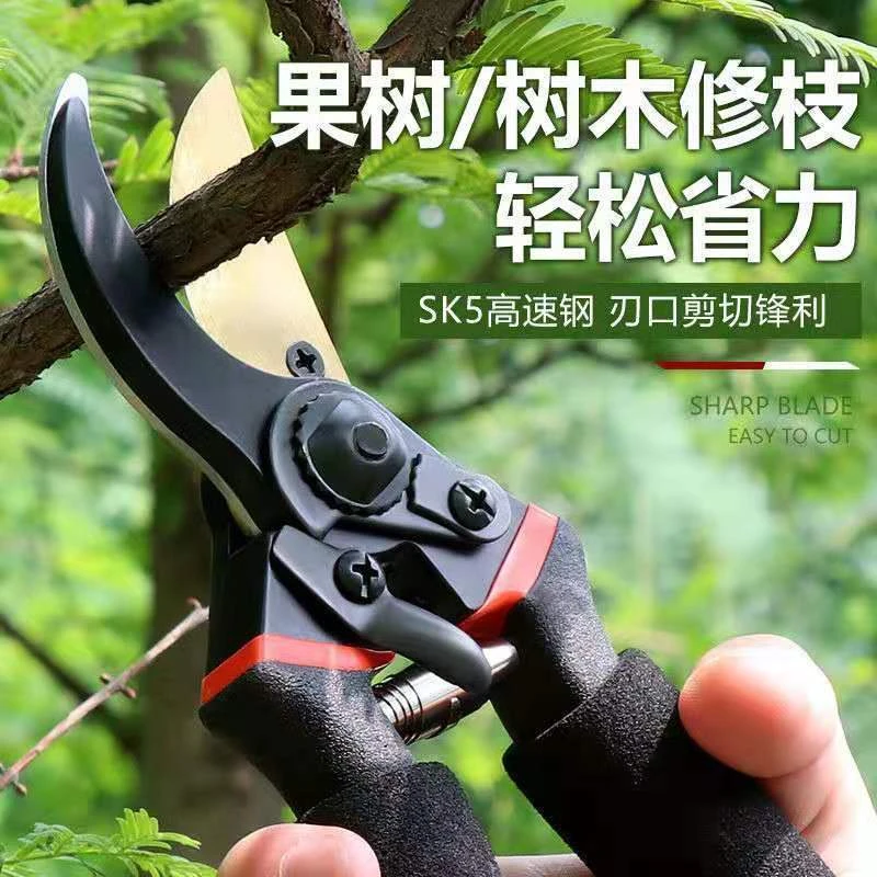 园艺剪刀花剪耐磨花卉剪枝耐磨专用剪刀树枝修剪剪刀强力修枝剪子