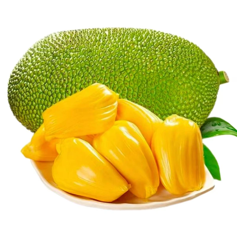 越南进口菠萝蜜 约4-5kg/颗