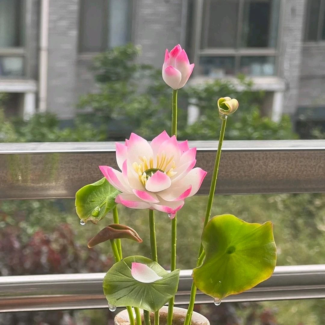 手工粘土仿真多肉成品一物一拍（直播售卖）