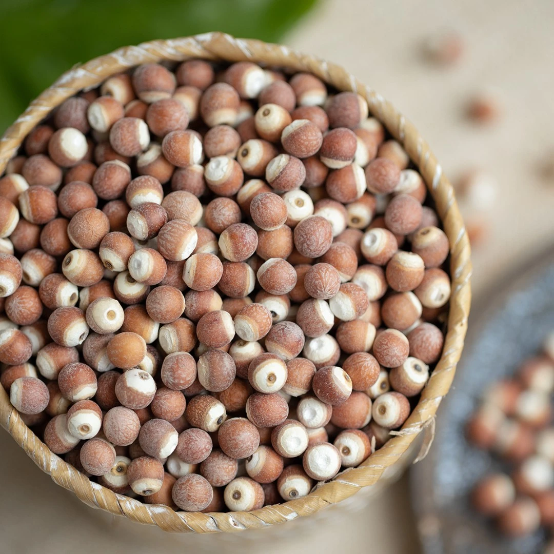【大号】新鲜肇庆芡实干货500g特级中药材生鸡头米茯苓生欠实茨实