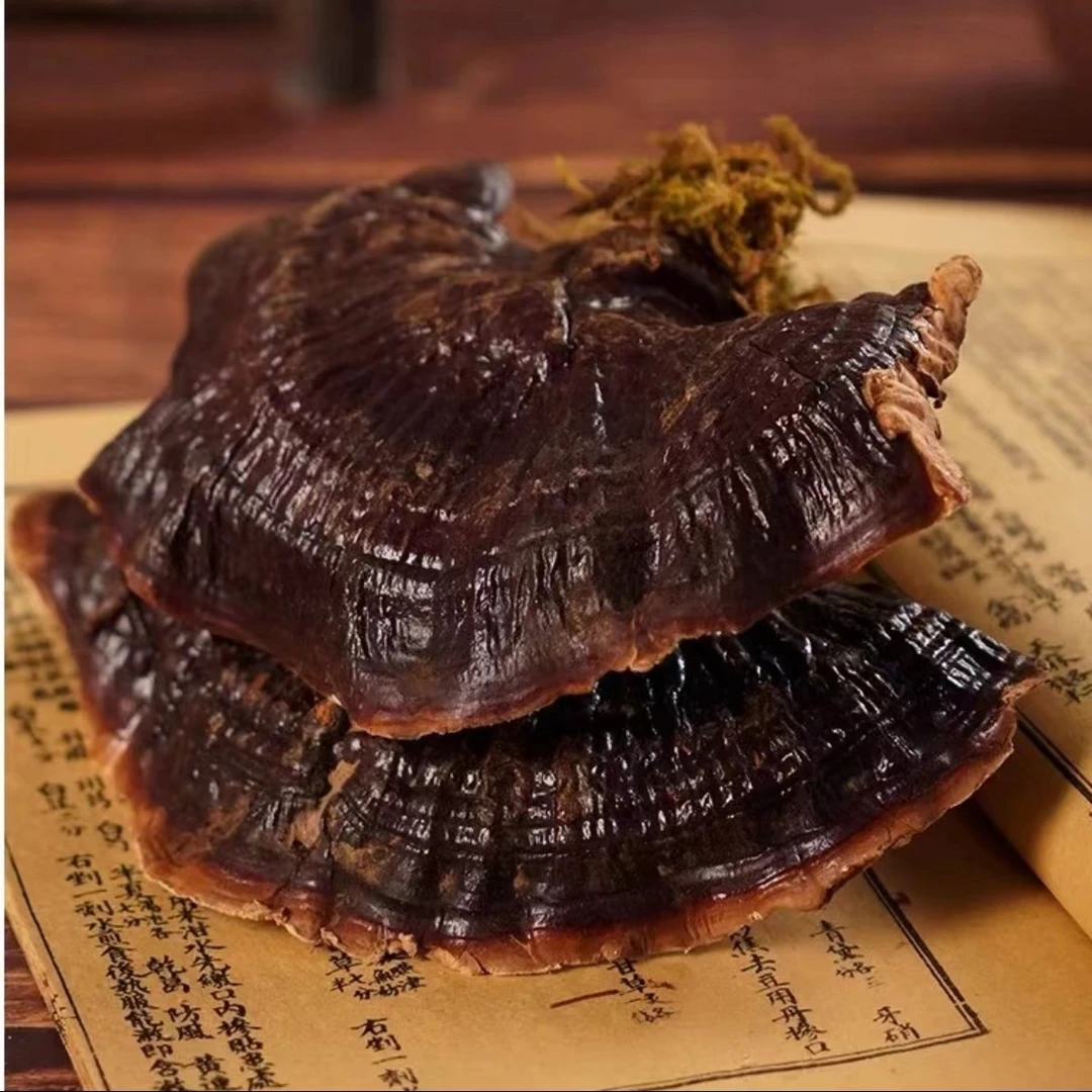 云南金边灵芝正品整枝红灵芝赤灵芝泡酒茶林芝灵芝片干货500克