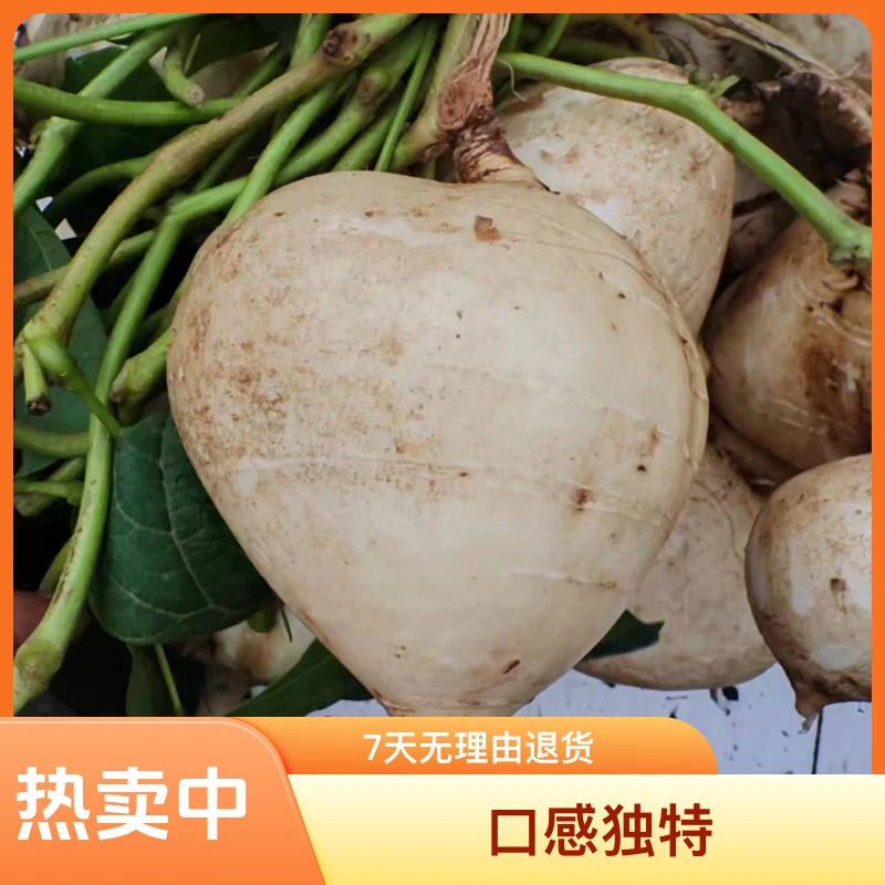 四川地瓜凉薯白地瓜脆爽多汁