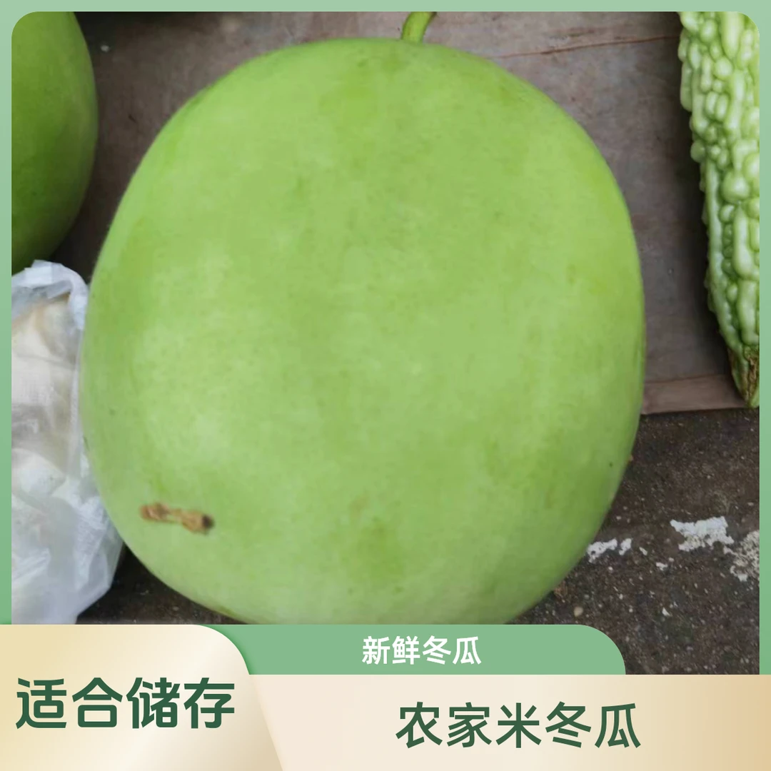 农家米冬瓜 冬瓜