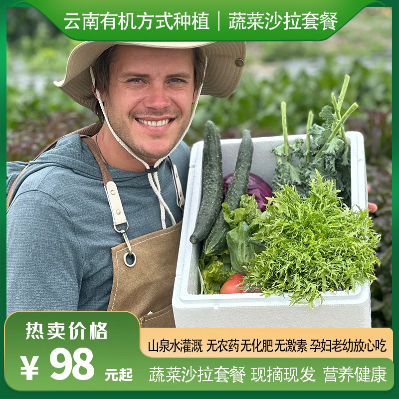 瑞典奶爸在大理｜有机方式种植蔬菜沙拉套餐生吃凉拌现摘包顺丰5斤