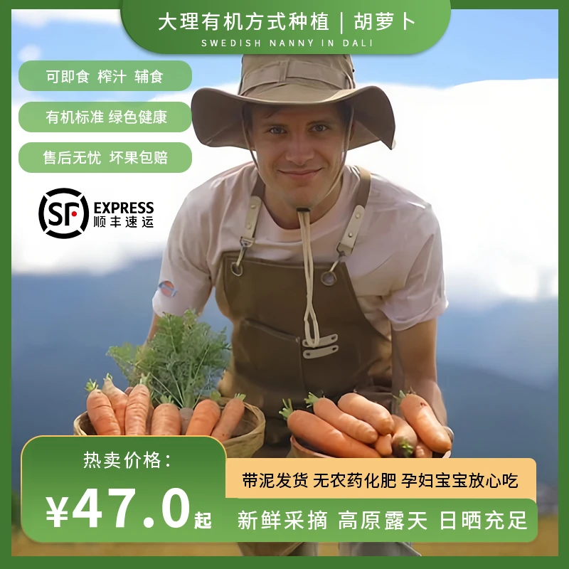 瑞典奶爸在大理｜露天生态方式种植胡萝卜生吃新鲜蔬菜辅食现挖3斤