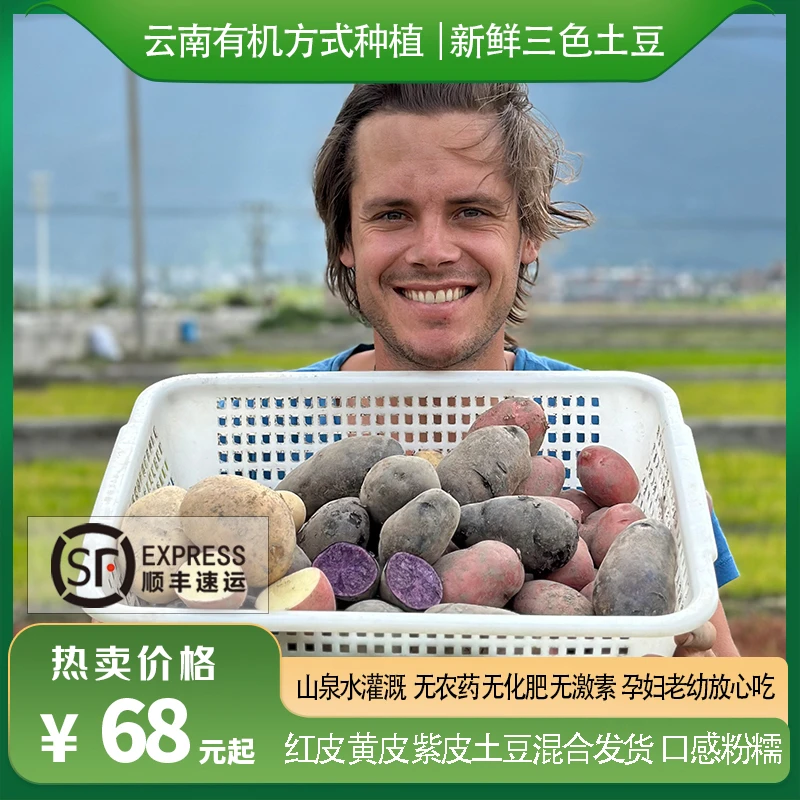 瑞典奶爸在大理｜有机方式种植三色土豆红皮黄皮紫皮混合粉糯顺丰
