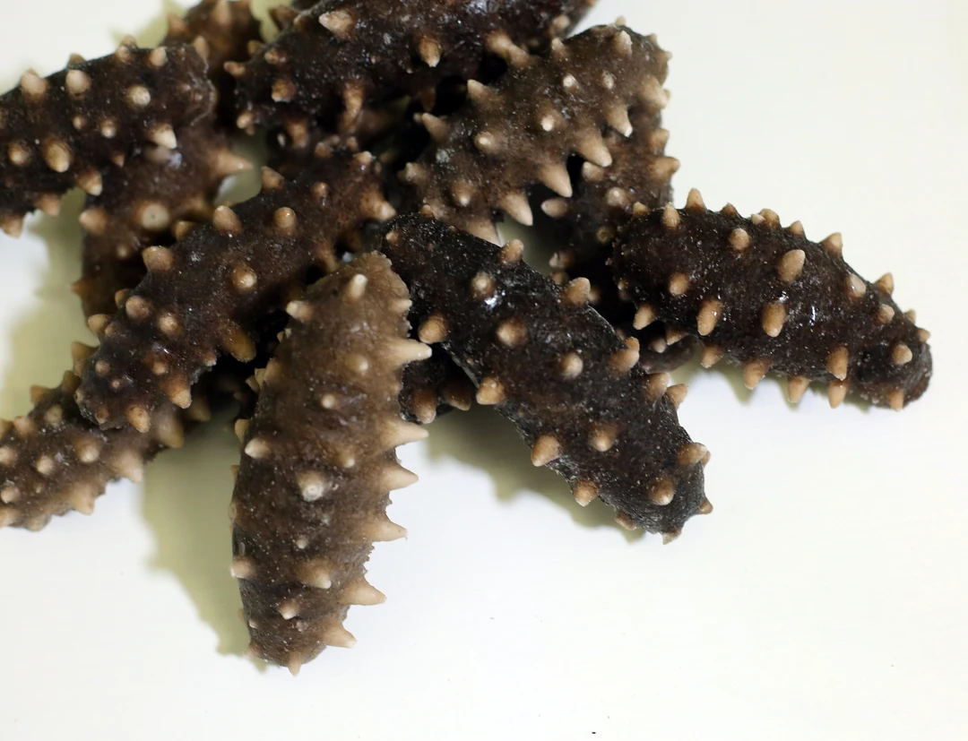 海岛老郭 深水即食海参 （净重500g 6-8头）