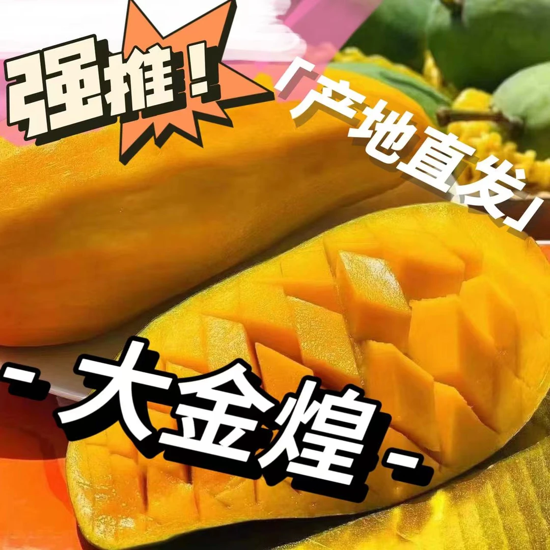 攀枝花金煌芒果 源头产地直发 核薄肉厚鲜嫩多汁新鲜细腻坏果包赔