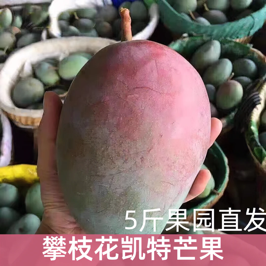 攀枝花凯特芒果新鲜水果凯特芒商场品质香甜多汁产地直发大脸芒