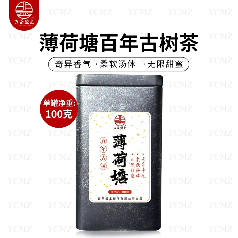 云茶盟主2024年头春薄荷塘百年古树！普洱茶 生茶！100克/罐！
