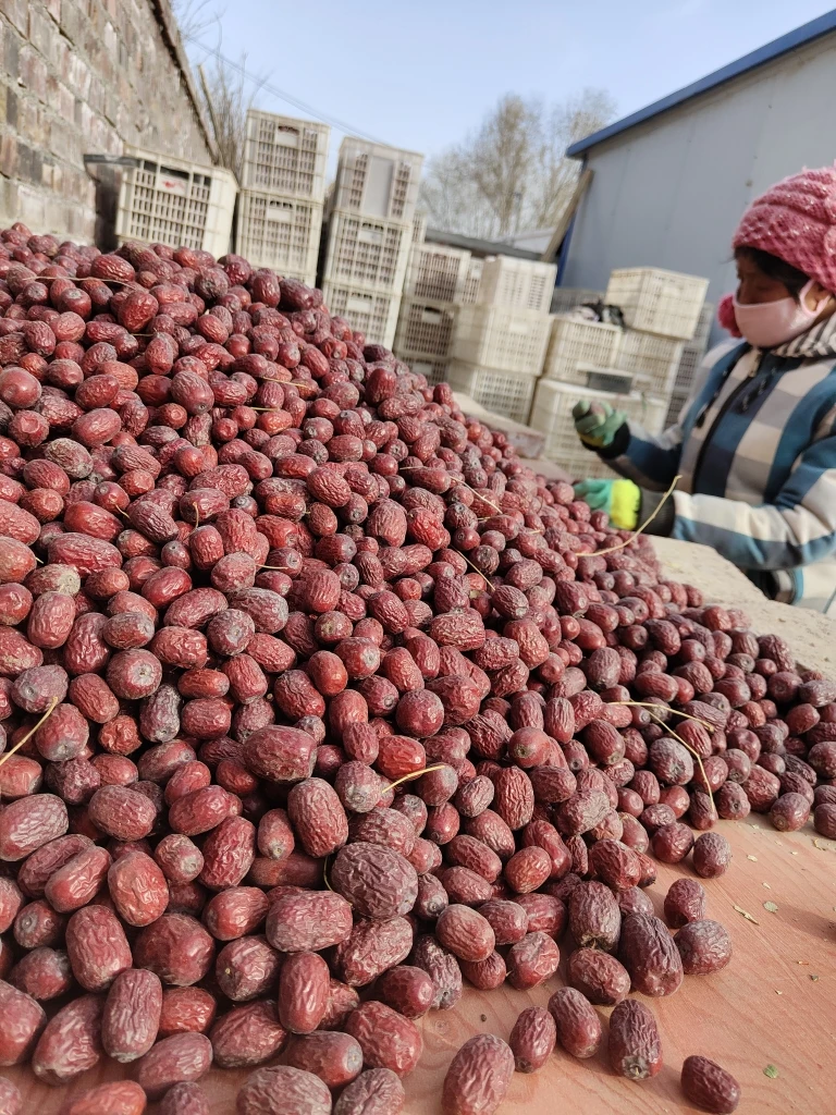 2025新货和田一级二级小灰枣5斤（带土不清洗）