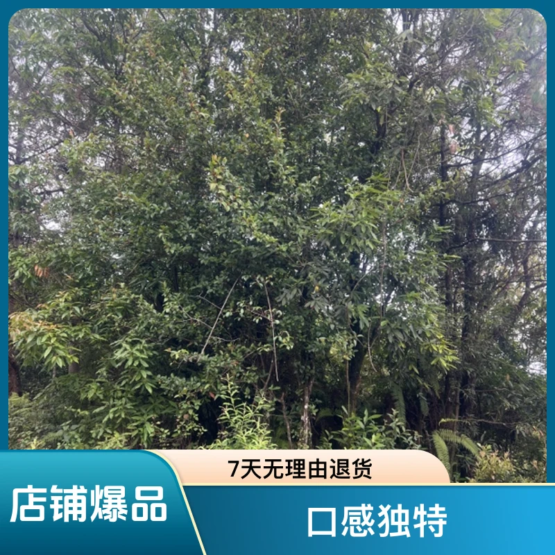 云南啊萍土特产-临时链接